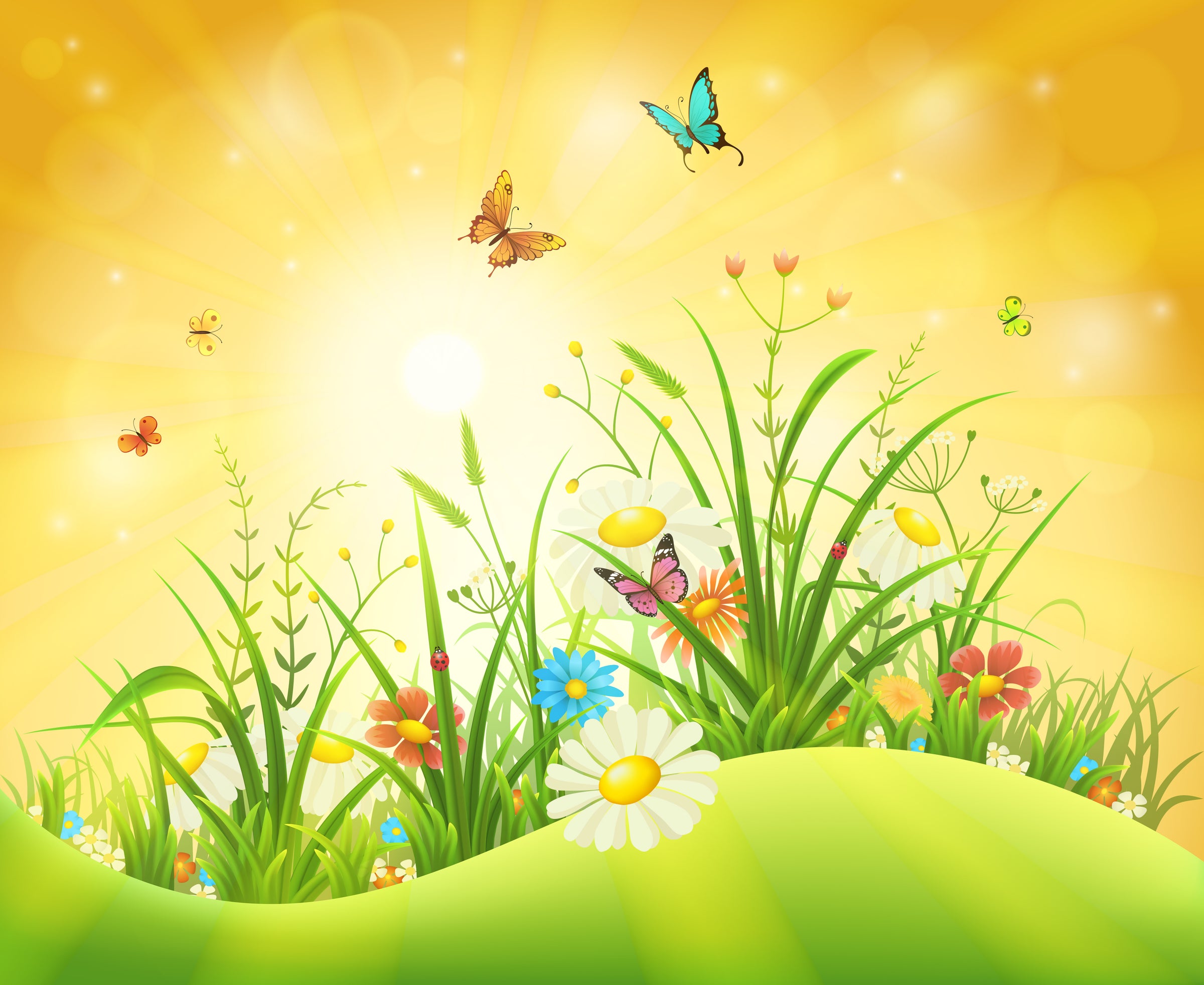 Lowest Evergreen Price