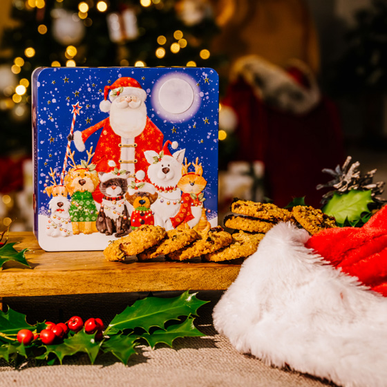 ドッグフード santa 愛犬元気 ささみ・ビーフ・野菜入り 2.3kg | ドッグフード 通販