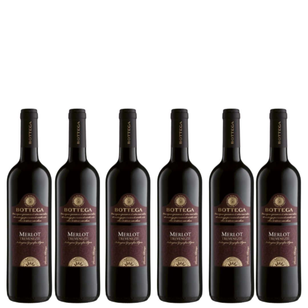 Bottega Merlot IGT Trevenezie Bottega 750ML x 6 [ BUY 1 CASE & GET 1 CASE FREE)