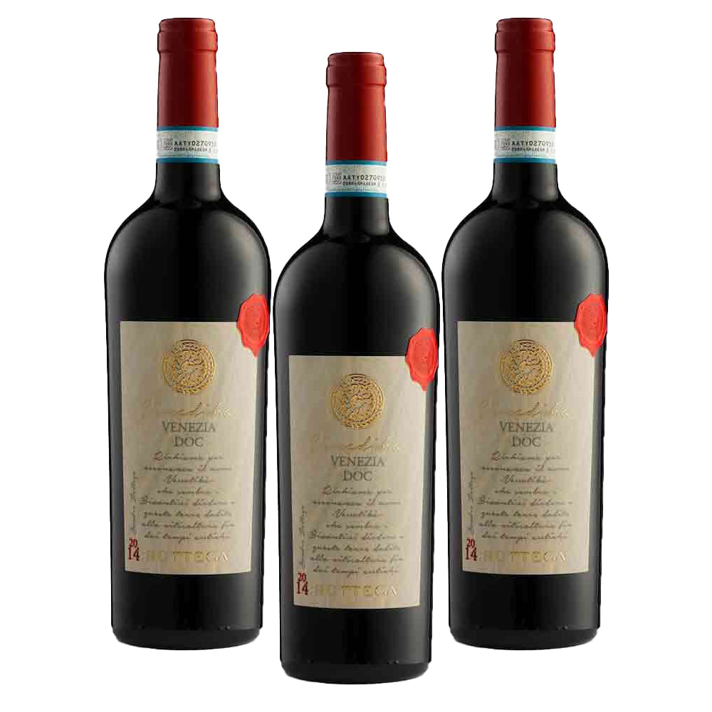 Bottega Venedika’ Rosso Venezia DOC 750ml x 3 Bottles