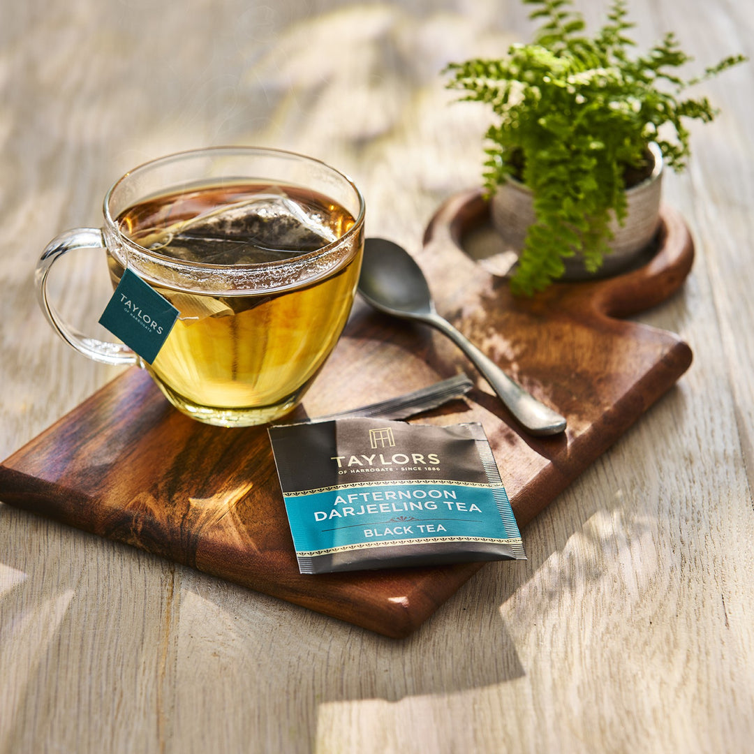 Taylors of Harrogate Afternoon Darjeeling Tea Bag 20 Sachets