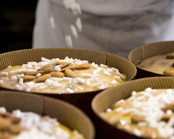 Filippi Iced Panettone with Candied Orange & Raisins 500G/1000G [DMR 0303/ 0305]