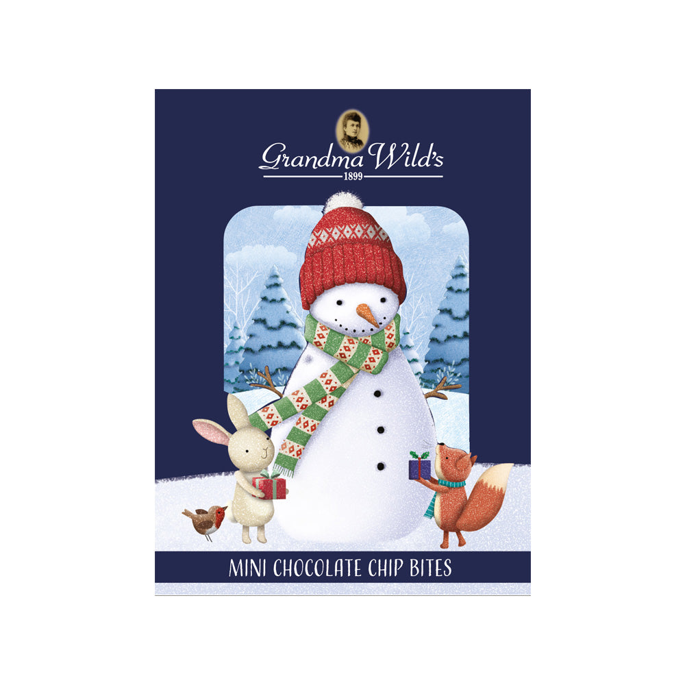 Christmas Gift Biscuits
